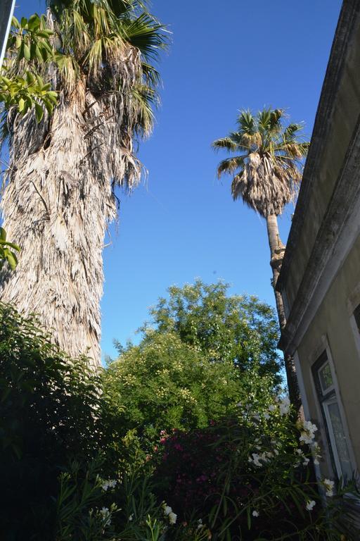Lisbon Budget Inn Eksteriør billede